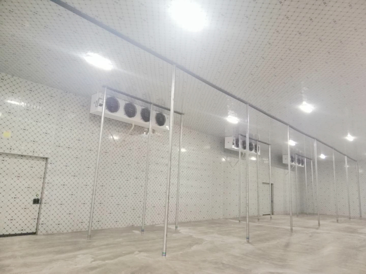 遵義紅花崗區(qū)永樂鎮(zhèn)4800立方米保鮮庫和氣調(diào)庫